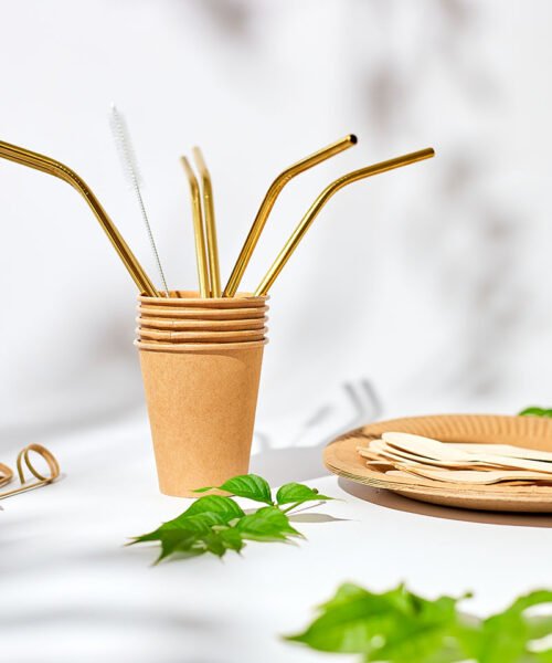 Set of eco friendly tableware, reusable disposable plates, cups, stainless steel straws and cleaning brush on white background with hard light shadow. Biodegradable craft dishes, recycling concept